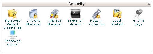 Screen Shot Of Enhanced Access Button In cPanel